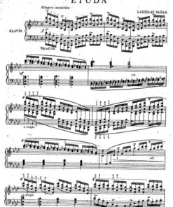 Alternative view of Olsar, Ladislav