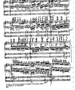 Alternative view of Vidusso, Carlo - Beethoven Fifth Concert
