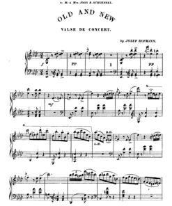 Hofmann, Josef - Image 19