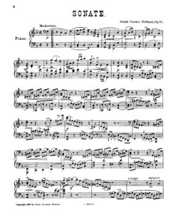Hofmann, Josef - Image 23
