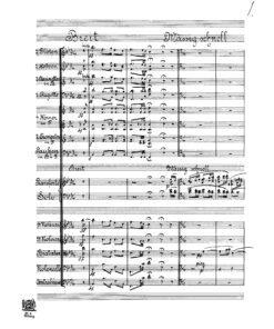 Schmidt, Franz - Image 4
