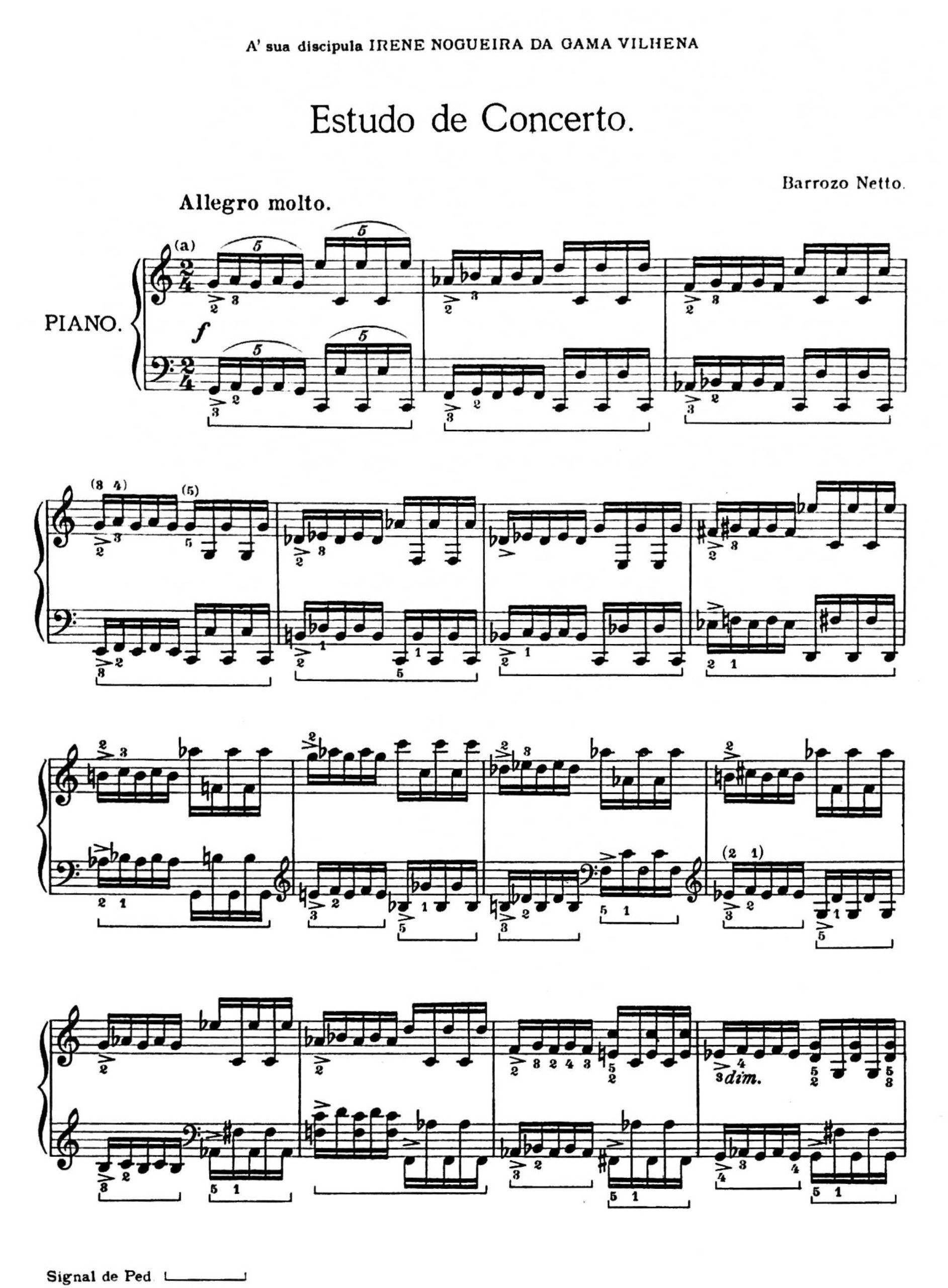 Netto, Barrozo - Image 14