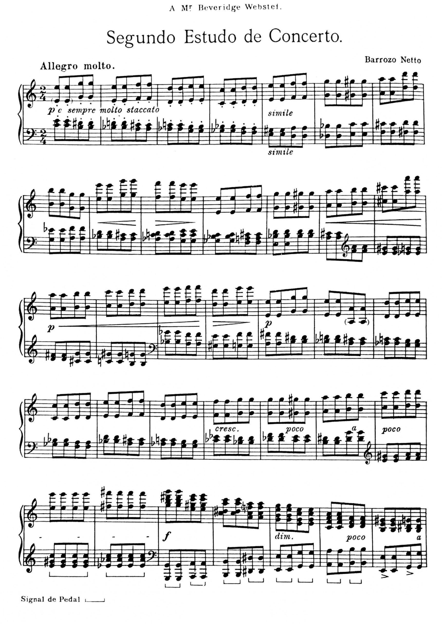 Netto, Barrozo - Image 15