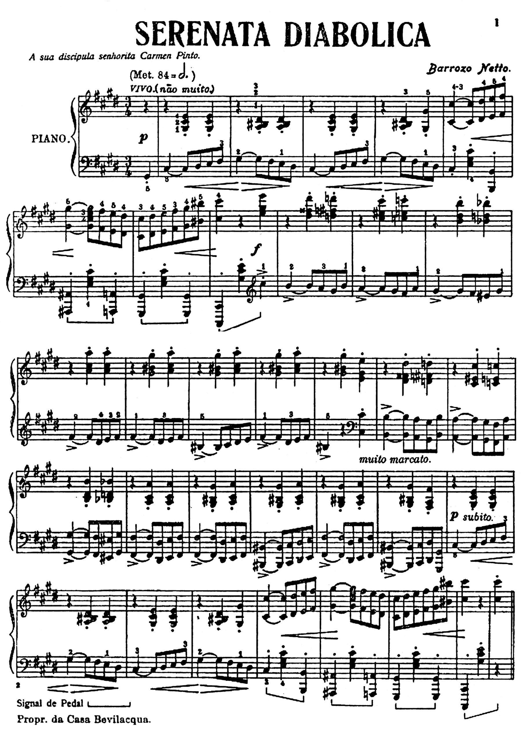 Netto, Barrozo - Image 22