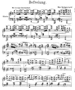 Alternative view of Springer, Max