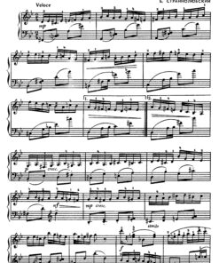 Alternative view of For the little virtuoso