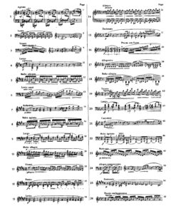 Fryderyk Chopin Complete Works edited by I. Paderewski - Image 25