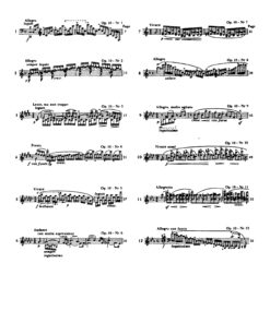 Fryderyk Chopin Complete Works edited by I. Paderewski - Image 23