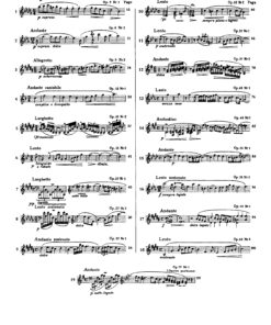 Fryderyk Chopin Complete Works edited by I. Paderewski - Image 14