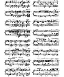 Fryderyk Chopin Complete Works edited by I. Paderewski - Image 12