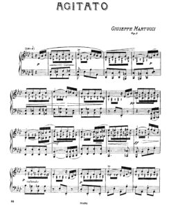 Martucci, Giuseppe - Image 11