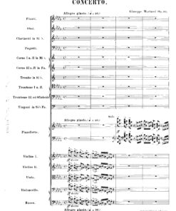 Martucci, Giuseppe - Image 22