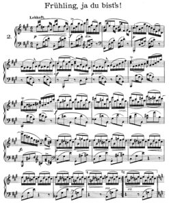 Rössler, Richard - Image 3