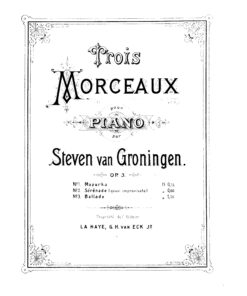 van Groningen, Stefan - Image 3