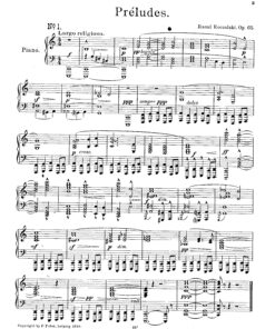 Koczalski, Raoul - Image 7
