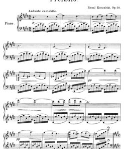 Koczalski, Raoul - Image 3